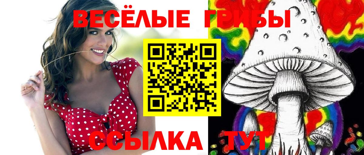 Галлюциногенные грибы Cubensis  Галлюциногенные грибы ЛСД  Вход с VPN  Белогорск 